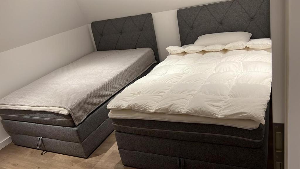 Ferienwohnung Nella 파더본 외부 사진